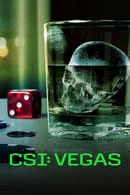 CSI Vegas Season 3 (2024)