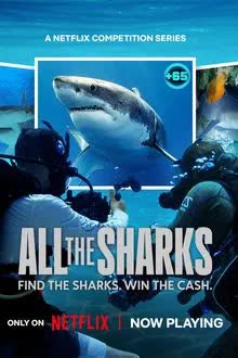 All the Sharks Season 1 (2025) เกมล่าหาฉลาม